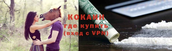 дживик Абинск