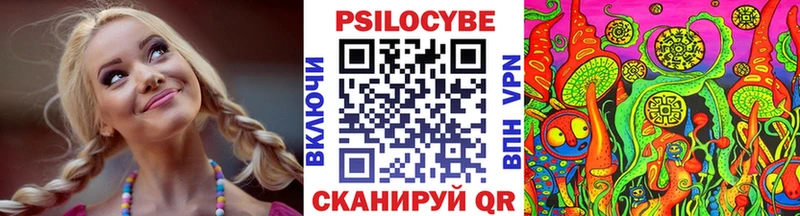 Галлюциногенные грибы Psilocybine cubensis  ссылка на мегу как войти  Дербент 